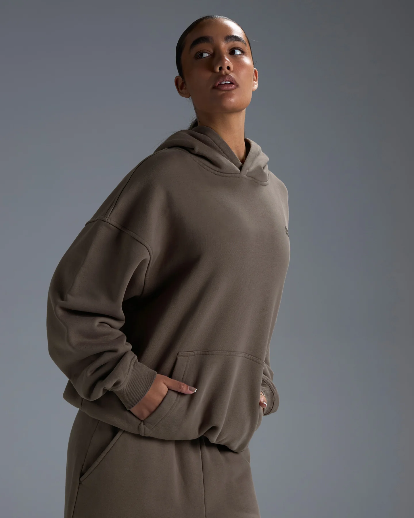 Premium Heavyweight Unisex Hoodie - Dark Taupe - Image 10